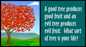 Pohon Kehidupan dan buahnya